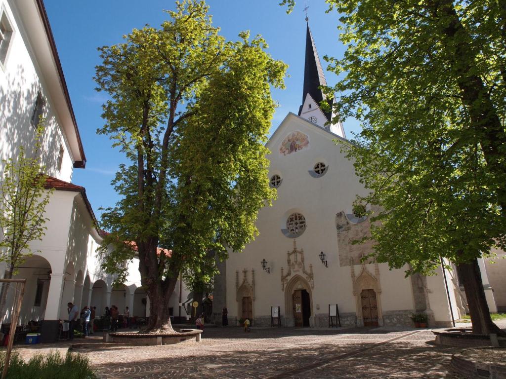 Hotel Kunstelj Pension Radovljica Exterior foto